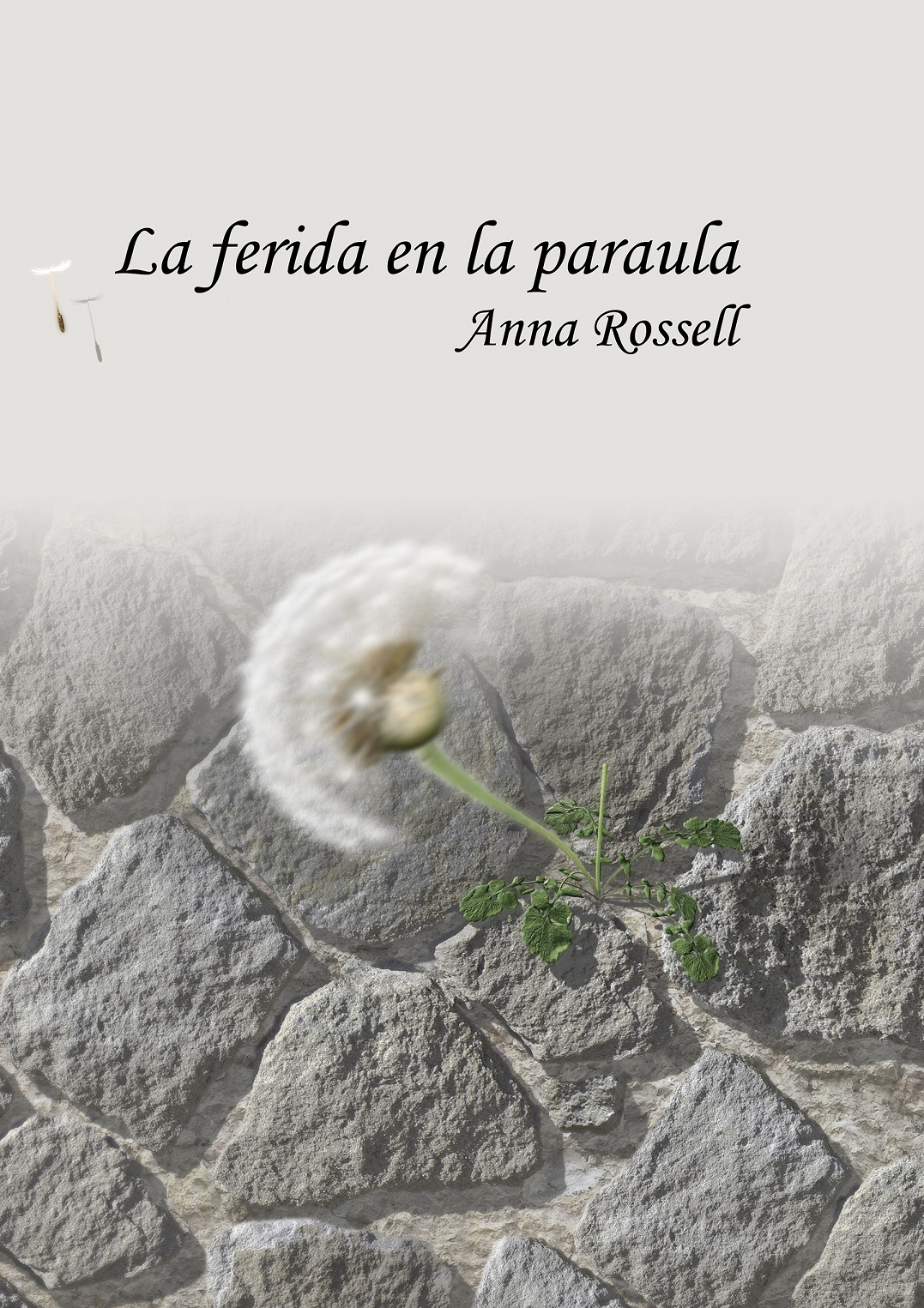 Portada del llibre de poemes "La ferida en la paraula"