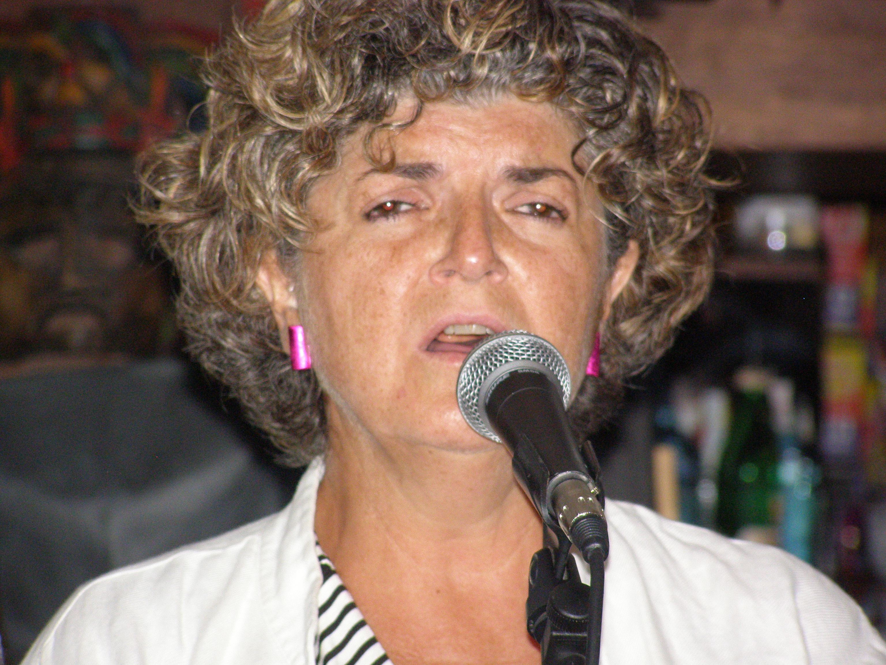 La cantante y compositora Mariona Segarra 1