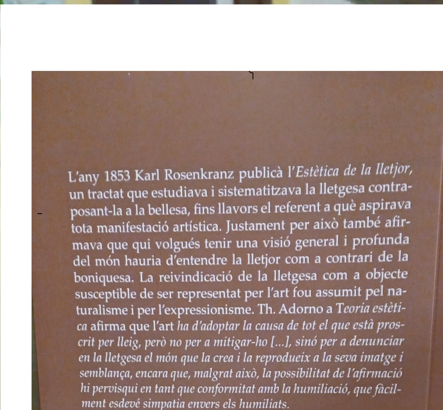 Contraportada del llibre de poemes d'Anna Rossell, publicat el 2025