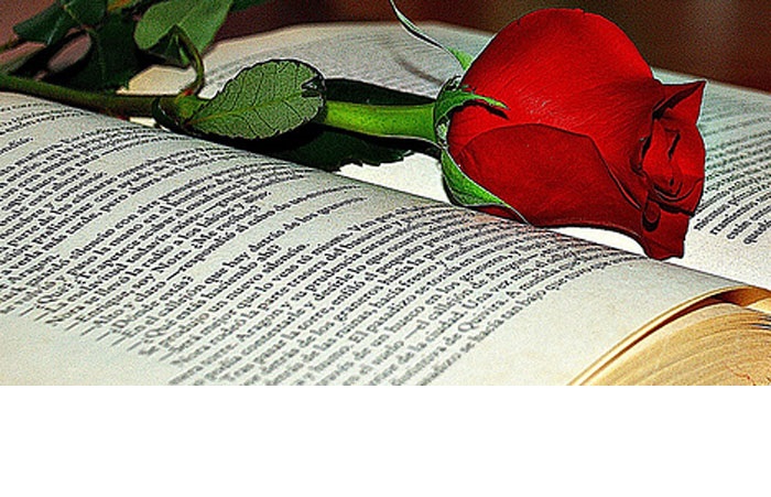 Rosa y libro Sant Jordi